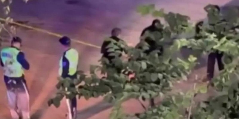 Школьника убили в драке 1 сентября в Таразе