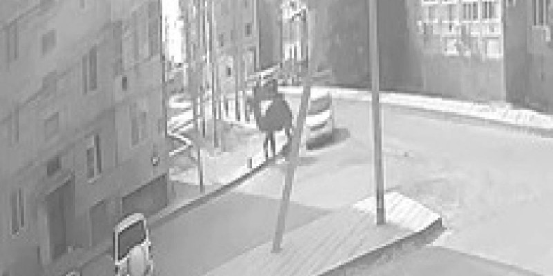 Верблюд затоптал ребёнка в Кульсары