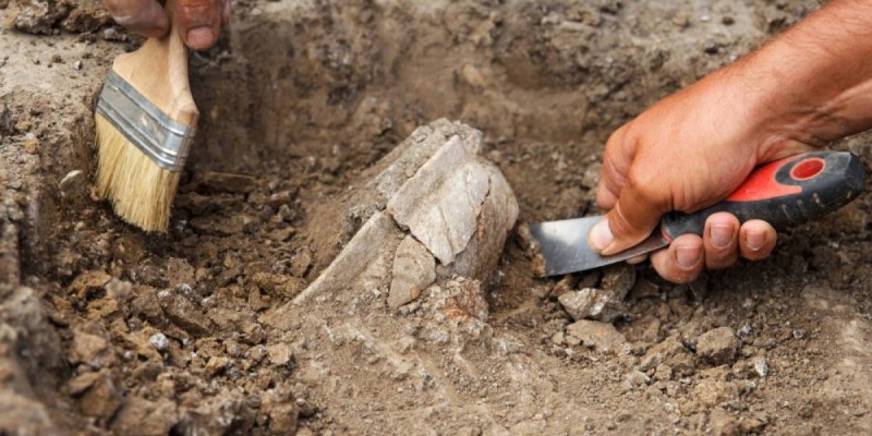 “Приезжают в Казахстан, выкапывают и увозят“ - депутаты просят до 12 лет для чёрных археологов