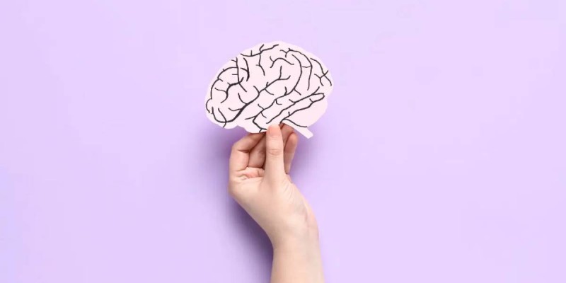 Учёные выяснили, что мозг человека полностью взрослеет только после 30 лет