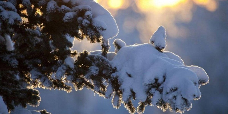 Прогноз погоды на 3 декабря: туман, гололёд и мокрый снег ожидаются в ряде регионов