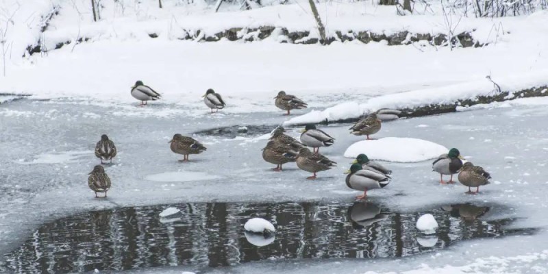Арктический холод надвигается на Казахстан
