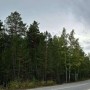 Эко-день «Чистый лес» прошёл в Бурабае