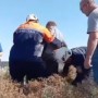 Подросток на лошади провалился в 5-метровую яму в Шымкенте