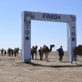 Самый большой караван верблюдов прошел в рамках Мирового Рекорда Гиннесса в Алматинской области