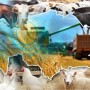 Казахстан вошел в топ-6 мира по сельхозугодьям