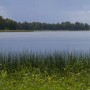 В Павлодарской области из воды достали тела женщины и россиянина