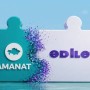 Журналист потребовал лишить «Аманат» депутатских мандатов после объединения с «Әділет»