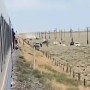 Пассажирский поезд сошёл с рельсов в Туркестанской области