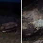 "Сын известных в Актобе предпринимателей": 18-летняя девушка погибла в ДТП под Актобе