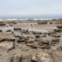 Процесс обмеления Каспийского моря назвали необратимым