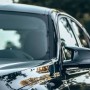 Казахстанец судился с полицией из-за ошибки в одной цифре и выиграл