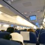 Астанчанку осудили за оскорбление полицейского на борту самолета
