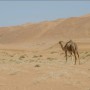 Причины аномальной жары в Казахстане назвали синоптики