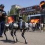 Робособака с ИИ впервые вышла на патрулирование в Карагандинской области