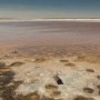Море возвращается: Северный Арал накопил рекордный объем воды