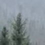 В Казахстане выпал снег: заснеженные горы сняли на видео