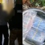 В Павлодаре нашли 24 миллиона тенге в кастрюле под яблоней