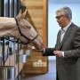 Самая редкая масть Казахстана: что известно об одной из самых красивых лошадей мира