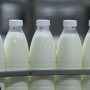 В Казахстане произведено 441,3 тыс. тонн молока