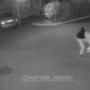 Убийство женщины попало на видео в Актобе